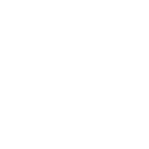 Pay securely icon