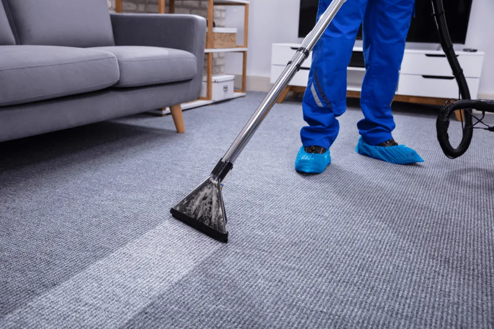 Cleaning person vacuuming carpet.